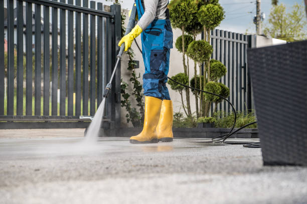Best Sidewalk and Walkway Cleaning  in Wakarusa, IN